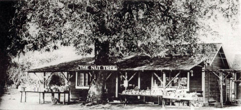 Original Nut Tree Stand